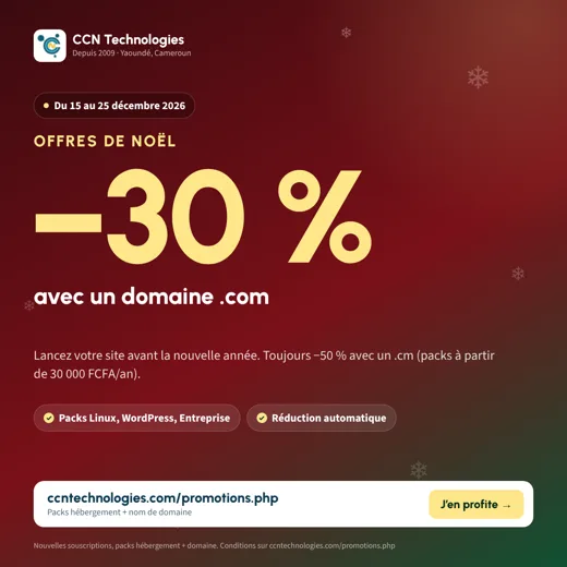Aperçu du kit Promo : Offres de Noël